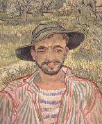 Vincent Van Gogh Portrait of a Young Peasant (nn04) oil